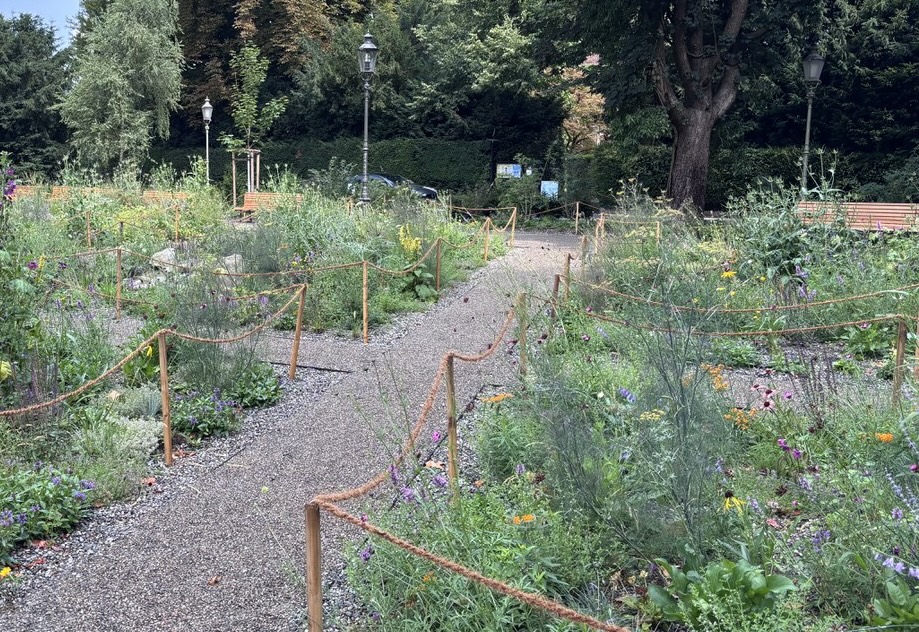 Stadtführung Biodiversität